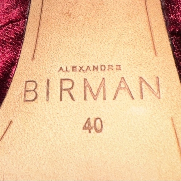 ALEXANDRE Birman Kyle Velvet Mary Jane Block Heels Pumps Burgundy 10 40 - Picture 13 of 13